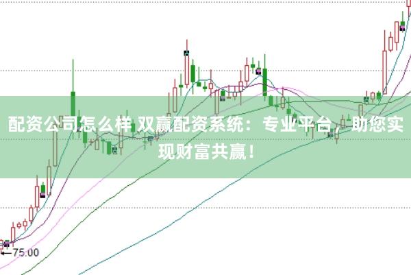 配资公司怎么样 双赢配资系统：专业平台，助您实现财富共赢！