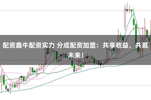 配资鑫牛配资实力 分成配资加盟：共享收益，共赢未来！