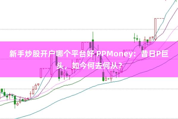 新手炒股开户哪个平台好 PPMoney：昔日P巨头，如今何去何从？