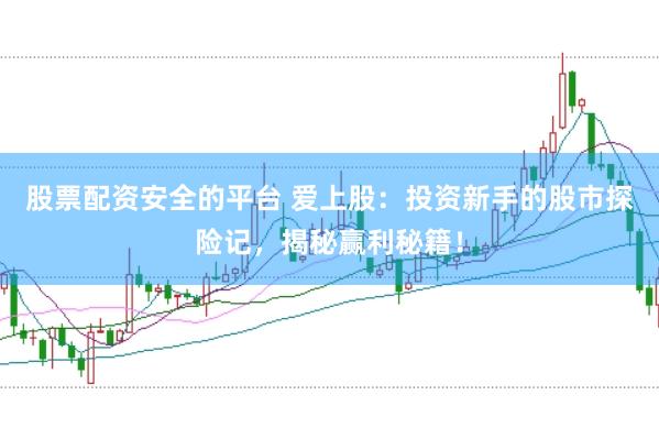 股票配资安全的平台 爱上股：投资新手的股市探险记，揭秘赢利秘籍！