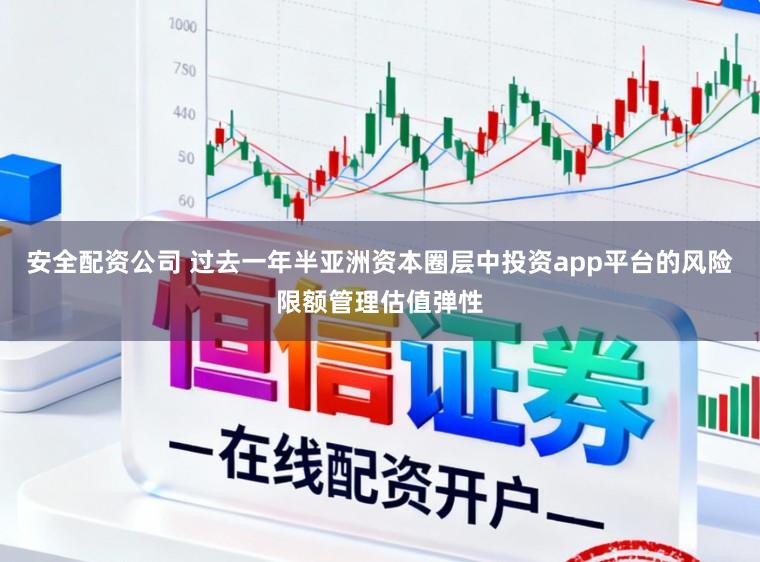 安全配资公司 过去一年半亚洲资本圈层中投资app平台的风险限额管理估值弹性
