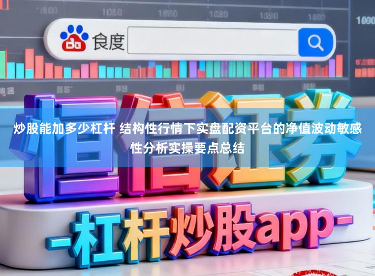 炒股能加多少杠杆 结构性行情下实盘配资平台的净值波动敏感性分析实操要点总结